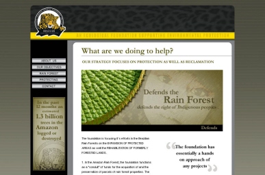 Website - 2004
