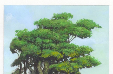 Old Beech