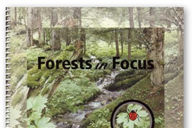 print design work