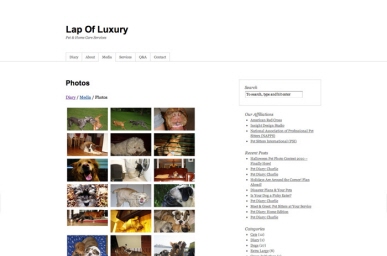 Flickr Photo Feed Utilizing AJAX and jQuery
