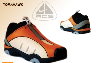 Hiking Shoe(CCS)