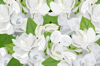 Jasmine01