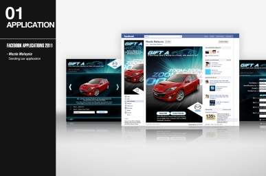 Facebook Applications 2011