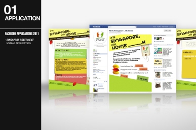 Facebook Applications 2011