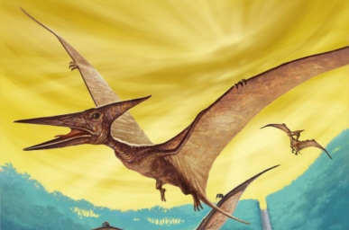 Koni- Pterodactyls