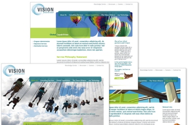 Web Sites and Micro Sites