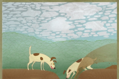 A Sleuth of Hounds