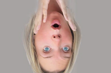 Topsy-Turvy