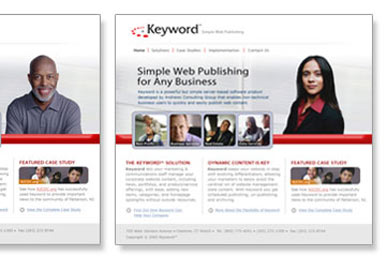 Web Site Design and Online Promotions
