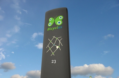 2009 - Bicyclus