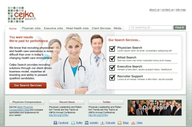 Cejka Search Corporate Website