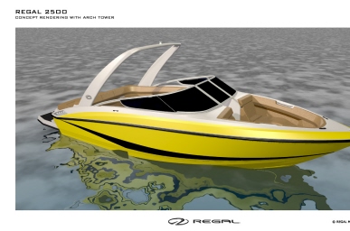 Regal 2500 Styling 08'