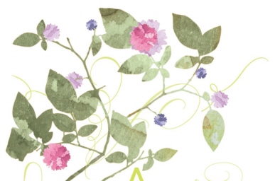 Home Cover Illustration