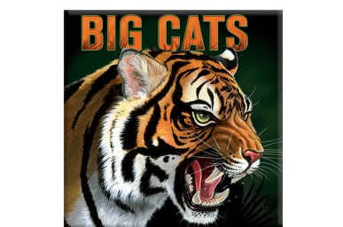 Big Cats Pop-Up Book