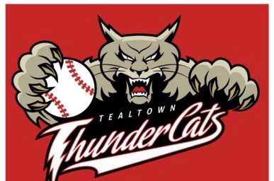 Tealtown Thundercats