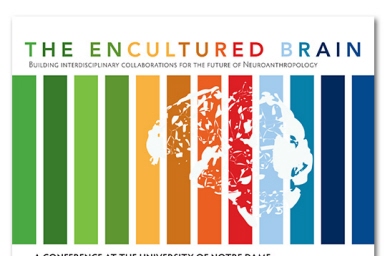 The Encultured Brain