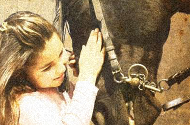 Horse Country Club - Trade Show Brochure