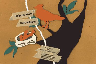 Help Us Save Hurt Wildlife!