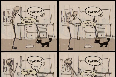 Conversation with my cat