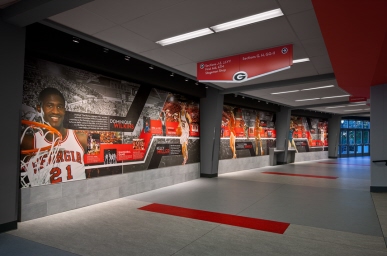 University of Georgia - Stegeman Coliseum