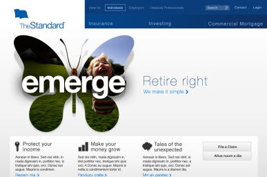 Concepts for an Insurance Company Website Standard