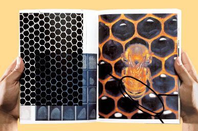 Honeycomb