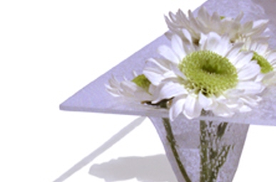 vase tray