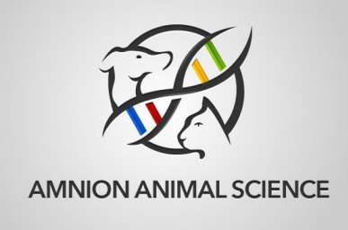 Amnion Animal Science