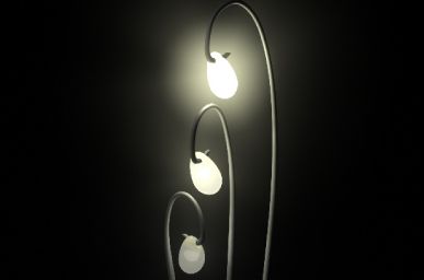 luma