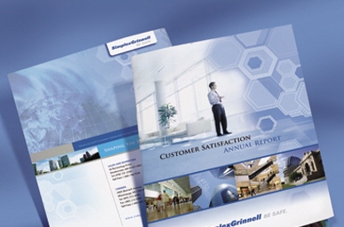 Customer Satisfaction Annual Report
