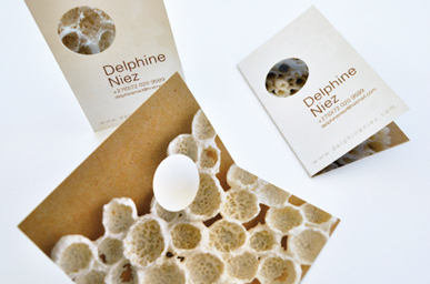 Delphine Niez, Ceramist