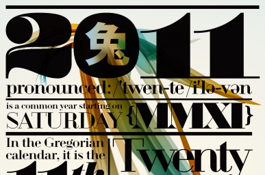 2011 poster