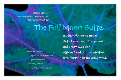 Full Moon Suite BT