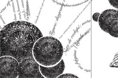 The text as a body - details
