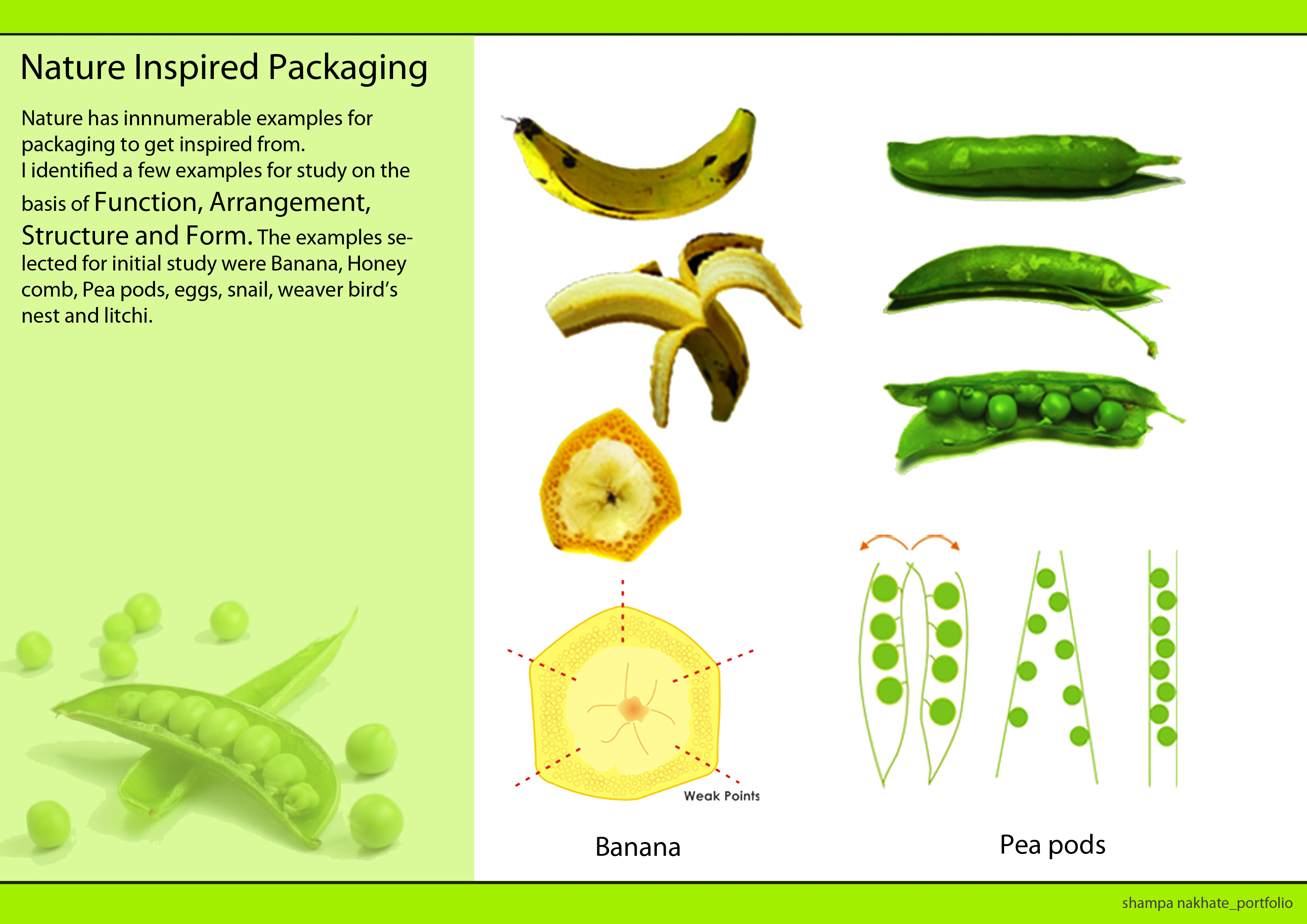 Αποτέλεσμα εικόνας για biomimicry pictures