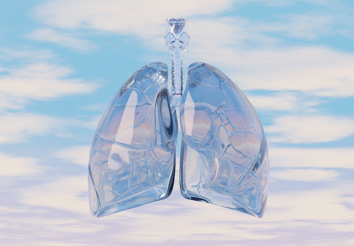 glass lungs by Craig Zuckerman at