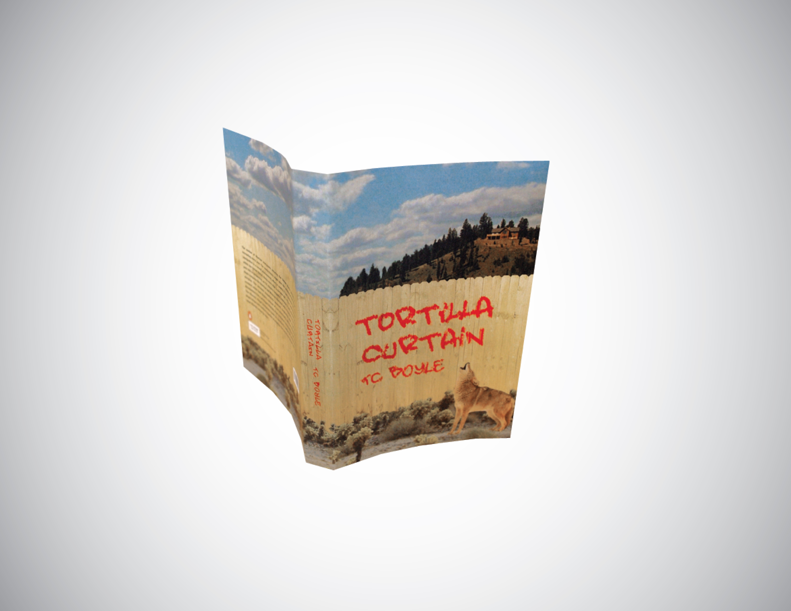 Tortilla curtain essay