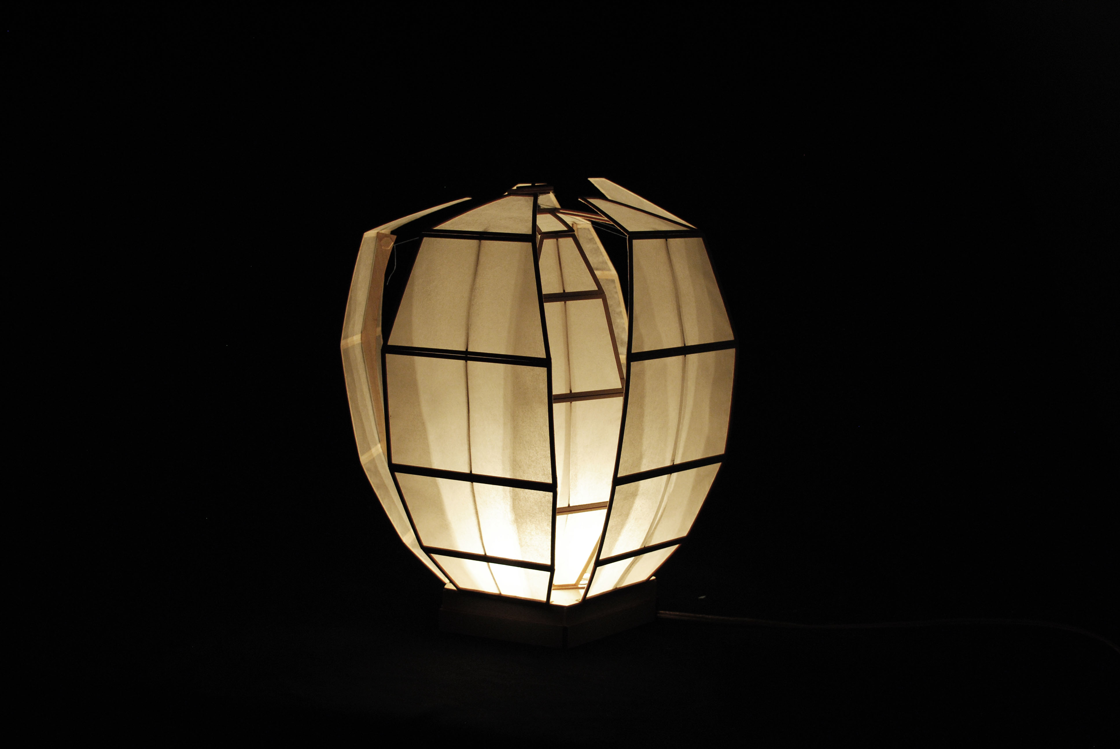 Biomimicry Lamp by Claire Dunnington at