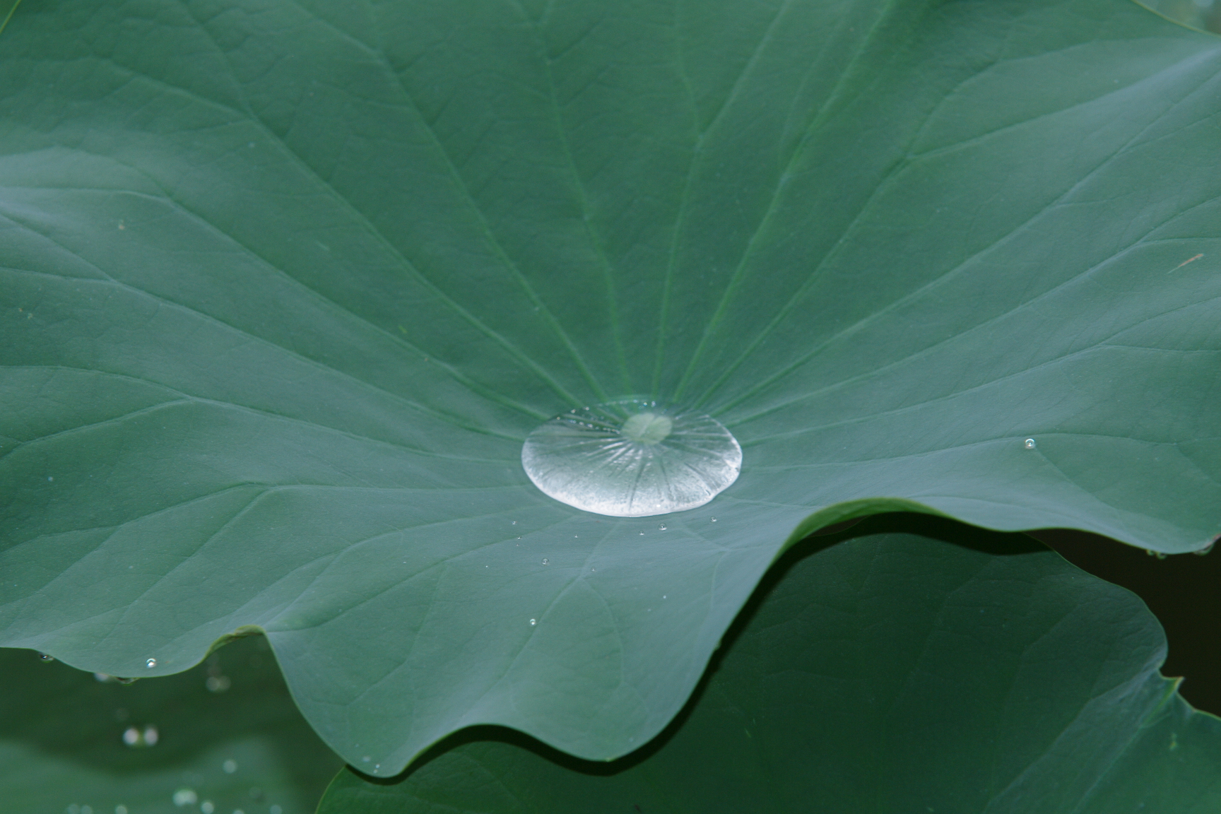 Photos by andrew rogers at