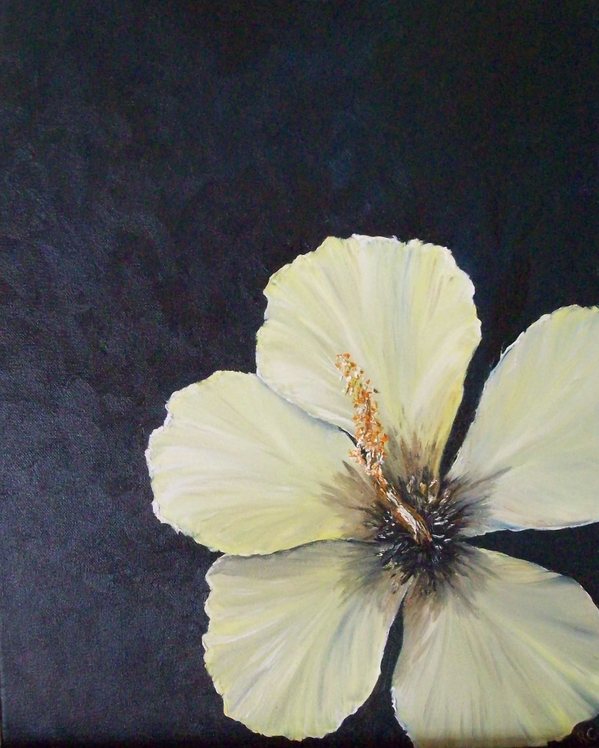 Flower Paintings by Rhonda Clapprood at