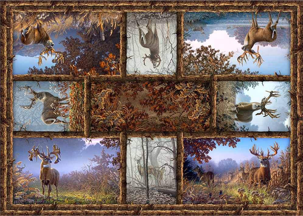 Wildlife Art of Larry Zach by Jon Wright at