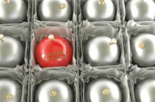 xmas in box