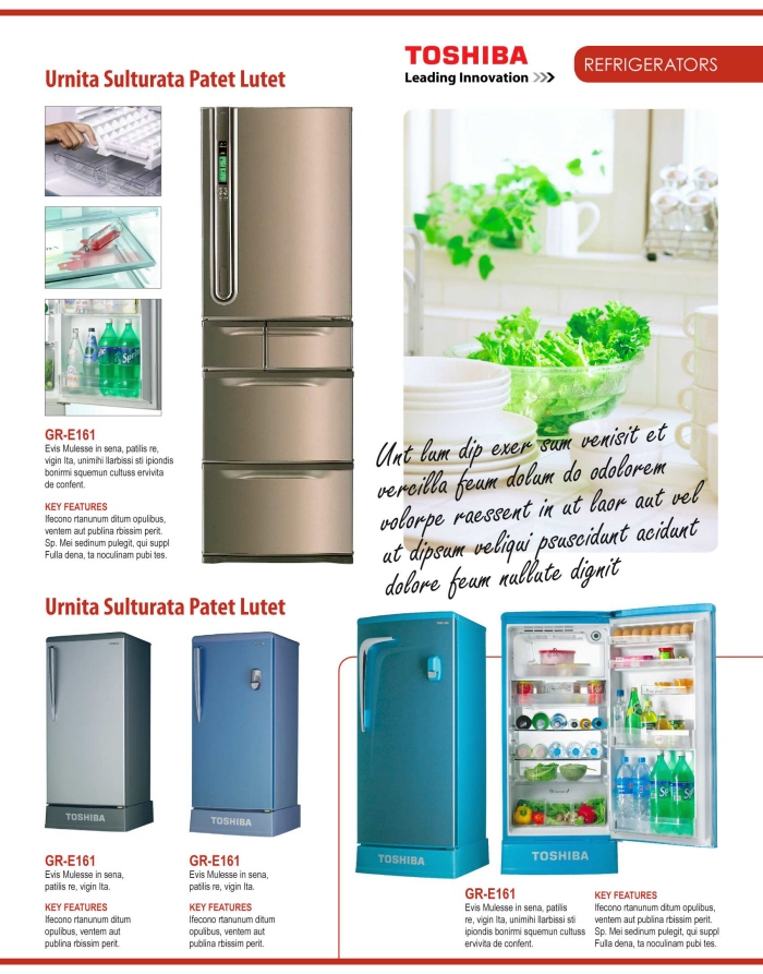 Toshiba Catalog by Darwin Sardez at