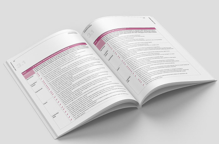 Competency Framework Design by Aengus Ryan at Coroflot.com