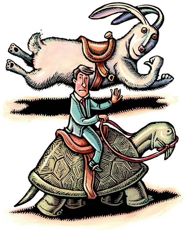 Wall Street Journal Illustrations by Lisa Haney at