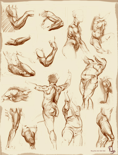 Ruby Roth Life Drawings Life Drawings by Ruby Shin at Coroflot.com