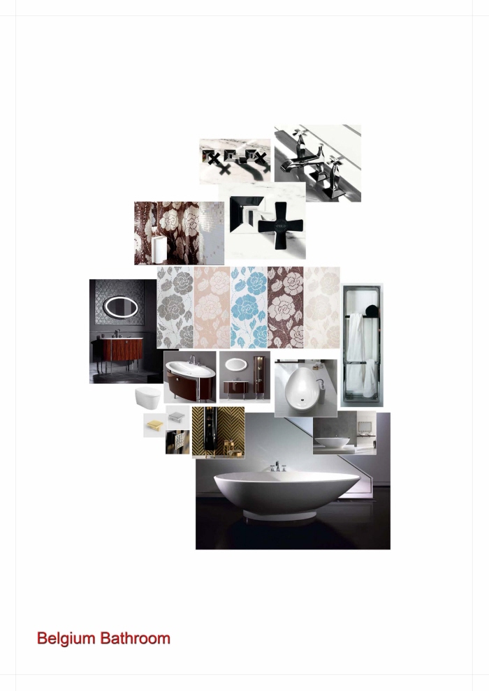 Belgium Bathroom by Baljeet Pardesi at