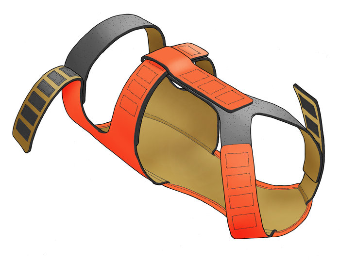 Safety Skid Plate for Hunting Dogs by Dan Curtiss at