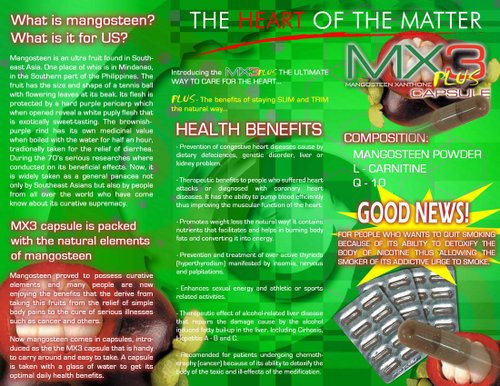 mx3 capsule with l carnitine benefits L-Carnitine: Benefits, Uses, and Sources Brochures & Product Label by