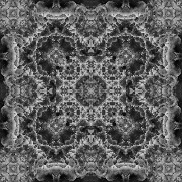 Fog Mirror by AVA Creative at